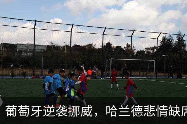 葡萄牙逆袭挪威，哈兰德悲情缺席C罗新角色